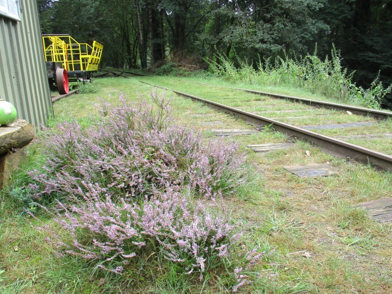 Bahnhof4